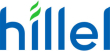 Hillel IT school Hillel IT school